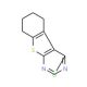4-Chloro-2-methyl-5,6,7,8-tetrahydro-benzo[4,5]thieno[2,3-d]pyrimidine (CAS 81765-97-1) - chemical structure image
