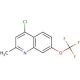 4-Chloro-2-methyl-7-trifluoromethoxyquinoline (CAS 53985-77-6) - chemical structure image