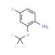 4-Chloro-2-(trifluoromethoxy)phenylamine (CAS 175205-77-3) - chemical structure image