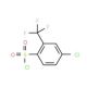 4-chloro-2-(trifluoromethyl)benzenesulfonyl chloride (CAS 54090-42-5) - chemical structure image