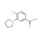 4-Chloro-3-pyrrolidin-1-yl-benzoic acid 的分子结构 4-Chloro-3-pyrrolidin-1-yl-benzoic acid - chemical structure image