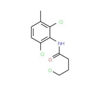 4-Chloro-N-(2,6-dichloro-3-methyl-phenyl)-butyramide - chemical structure image