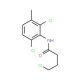 4-Chloro-N-(2,6-dichloro-3-methyl-phenyl)-butyramide - chemical structure image