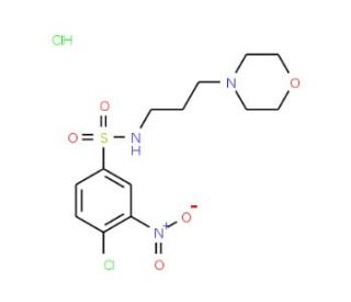 4-chloro-N-(3-morpholin-4-ylpropyl)-3-nitrobenzenesulfonamide hydrochloride - chemical structure image