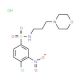 4-chloro-N-(3-morpholin-4-ylpropyl)-3-nitrobenzenesulfonamide hydrochloride - chemical structure image