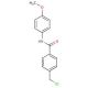 4-(chloromethyl)-N-(4-methoxyphenyl)benzamide - chemical structure image