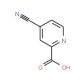 4-Cyano-2-pyridinecarboxylic acid - chemical structure image