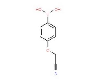 4-Cyanomethoxyphenylboronic acid (CAS 947533-23-5) - chemical structure image