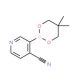 4-Cyanopyridine-3-boronic acid neopentyl glycol ester (CAS 868944-72-3) - chemical structure image