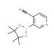 4-Cyanopyridine-3-boronic acid pinacol ester (CAS 878194-91-3) - chemical structure image