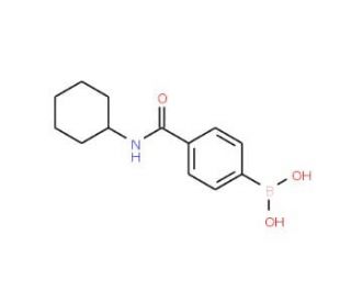 4-(Cyclohexylaminocarbonyl)phenylboronic acid (CAS 762262-07-7) - chemical structure image
