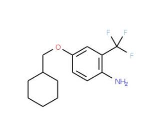 4-(Cyclohexylmethoxy)-2-(trifluoromethyl)aniline - chemical structure image