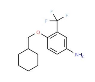 4-(Cyclohexylmethoxy)-3-(trifluoromethyl)aniline - chemical structure image