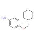 4-(Cyclohexylmethoxy)aniline - chemical structure image