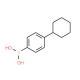 4-cyclohexylphenylboronic acid (CAS 374538-04-2) - chemical structure image
