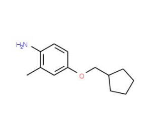 4-(Cyclopentylmethoxy)-2-methylaniline - chemical structure image