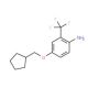 4-(Cyclopentylmethoxy)-2-(trifluoromethyl)aniline - chemical structure image