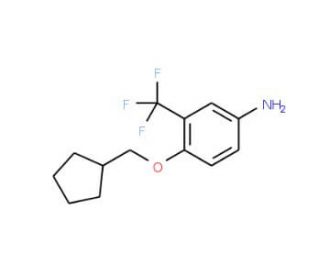 4-(Cyclopentylmethoxy)-3-(trifluoromethyl)aniline - chemical structure image