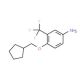 4-(Cyclopentylmethoxy)-3-(trifluoromethyl)aniline 的分子结构 4-(Cyclopentylmethoxy)-3-(trifluoromethyl)aniline - chemical structure image
