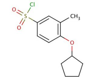 4-(cyclopentyloxy)-3-methylbenzenesulfonyl chloride - chemical structure image