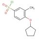 4-(cyclopentyloxy)-3-methylbenzenesulfonyl chloride - chemical structure image