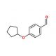 4-(cyclopentyloxy)benzaldehyde (CAS 164520-98-3) - chemical structure image
