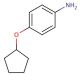 4-Cyclopentyloxy-phenylamine (CAS 26455-36-7) - chemical structure image
