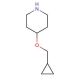 4-(Cyclopropylmethoxy)piperidine - chemical structure image