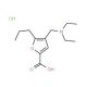4-Diethylaminomethyl-5-propyl-furan-2-carboxylic acid hydrochloride - chemical structure image