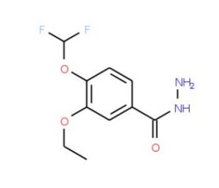 4-Difluoromethoxy-3-ethoxy-benzoic acid hydrazide - chemical structure image