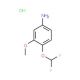 4-Difluoromethoxy-3-methoxy-phenylamine hydrochloride - chemical structure image