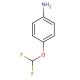 4-(Difluoromethoxy)aniline (CAS 22236-10-8) - chemical structure image