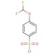 4-(Difluoromethoxy)benzenesulfonyl chloride (CAS 351003-34-4) - chemical structure image