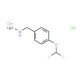 [4-(Difluoromethoxy)benzyl]hydrazinedihydrochloride - chemical structure image