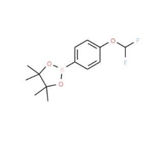 4-(Difluoromethoxy)phenylboronic acid pinacol ester (CAS 887757-48-4) - chemical structure image