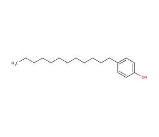4-Dodecylphenol, mixture of isomers (CAS 27193-86-8) - chemical structure image
