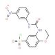 4-Ethoxy-3-[3-(3-nitro-phenyl)-ureido]-benzene-sulfonyl chloride - chemical structure image