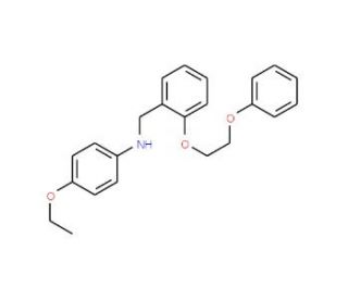 4-Ethoxy-N-[2-(2-phenoxyethoxy)benzyl]aniline - chemical structure image