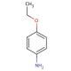 4-Ethoxyaniline (CAS 156-43-4) - chemical structure image