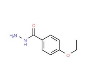 4-Ethoxybenzhydrazide (CAS 58586-81-5) - chemical structure image