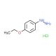 (4-Ethoxyphenyl)hydrazine HCl (CAS 39943-51-6 (free acid)) - chemical structure image