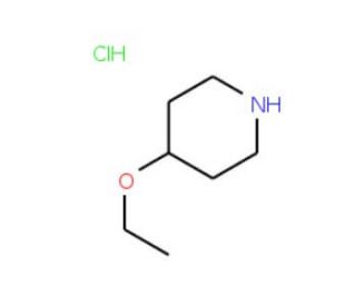 4-Ethoxypiperidine hydrochloride (CAS 1122-87-8) - chemical structure image