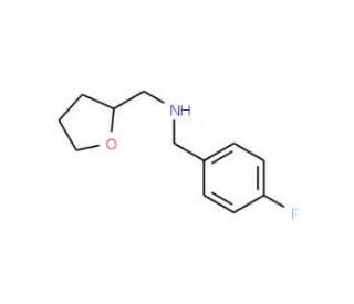 (4-Fluoro-benzyl)-(tetrahydro-furan-2-ylmethyl)-amine (CAS 356531-65-2) - chemical structure image