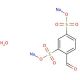 4-Formylbenzene-1,3-disulfonic acid disodium salt (CAS 207291-88-1) - chemical structure image
