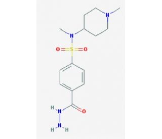 4-(hydrazinocarbonyl)-N-methyl-N-(1-methylpiperidin-4-yl)benzenesulfonamide - chemical structure image