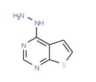 4-hydrazinothieno[2,3-d]pyrimidine (CAS 14080-58-1) - chemical structure image