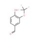 4-Hydroxy-3-(trifluoromethoxy)benzaldehyde (CAS 53104-95-3) - chemical structure image