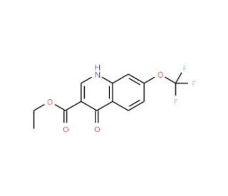 4-Hydroxy-7-trifluoromethoxyquinoline-3-carboxylic acid ethyl ester (CAS 53985-73-2) - chemical structure image