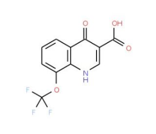 4-Hydroxy-8-trifluoromethoxyquinoline-3-carboxylic acid (CAS 40516-40-3) - chemical structure image