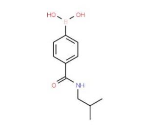 4-(Isobutylaminocarbonyl)benzeneboronic acid (CAS 850568-13-7) - chemical structure image